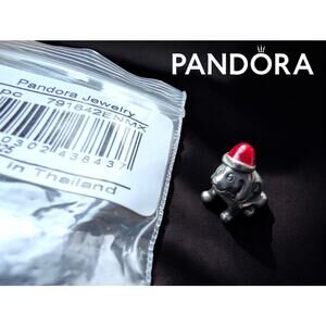 Pandora Holiday Dog Charm 791842ENMX Silver Enamel Santa Hat – NWOT